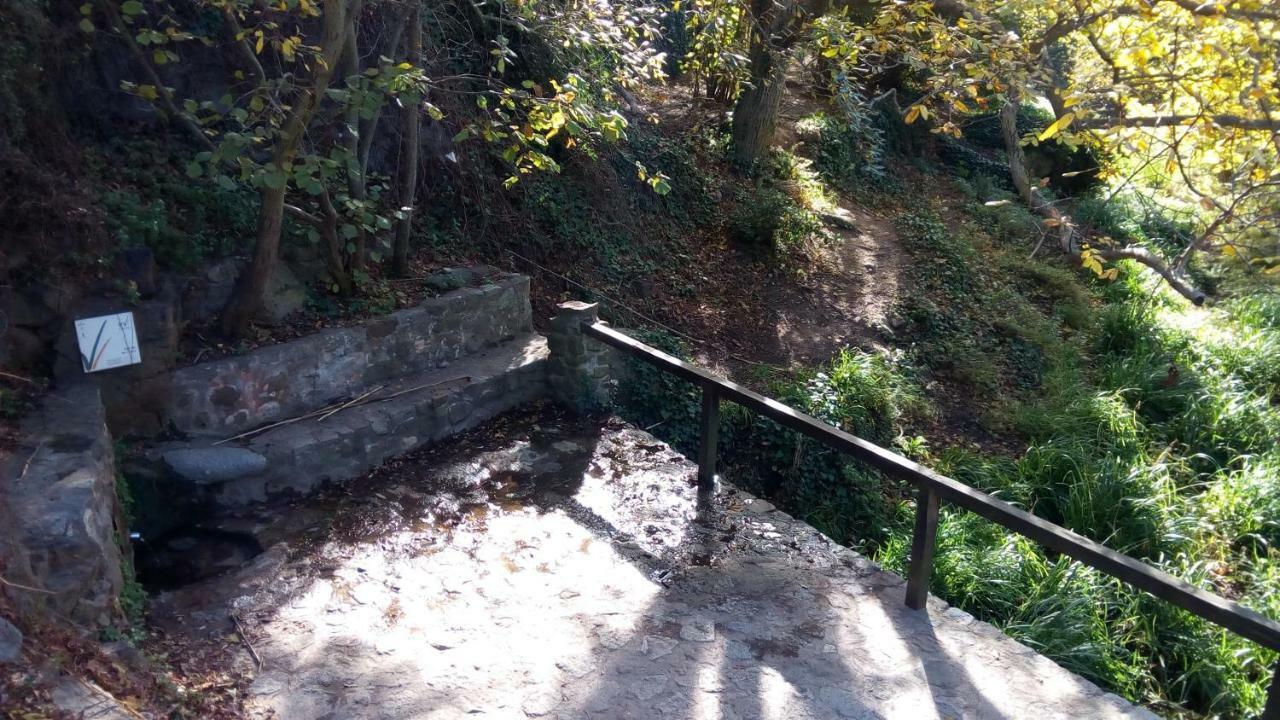 Apartament Rural Vilaplana Zewnętrze zdjęcie