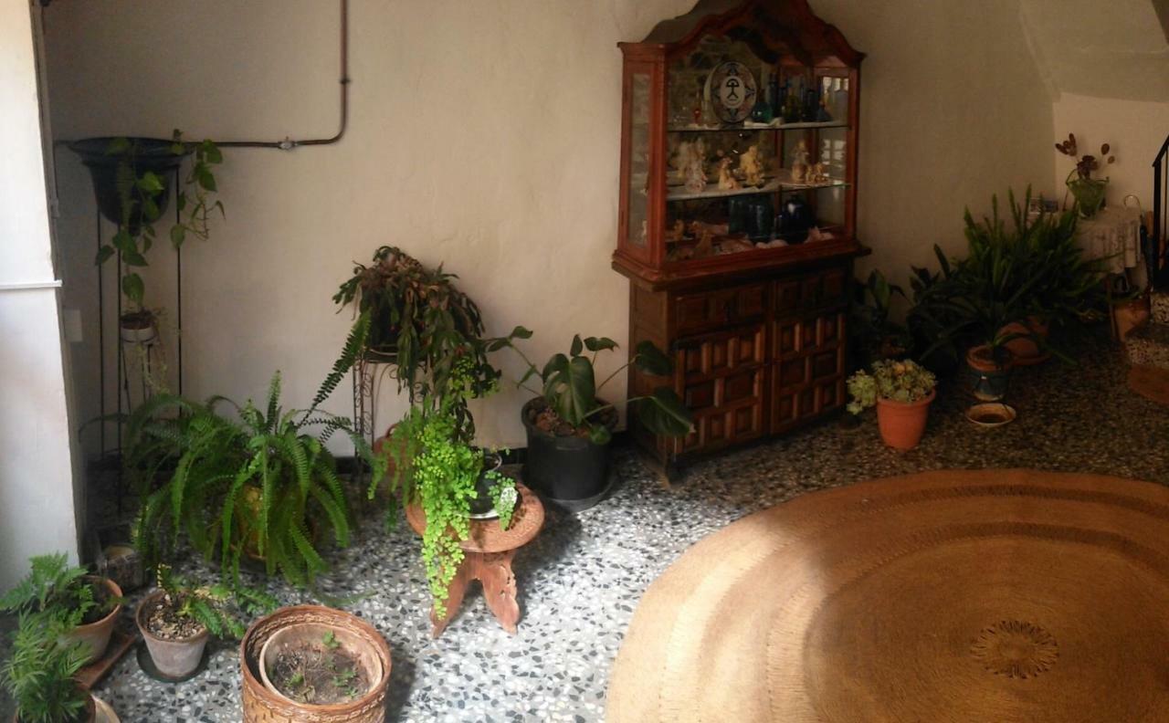 Apartament Rural Vilaplana Zewnętrze zdjęcie